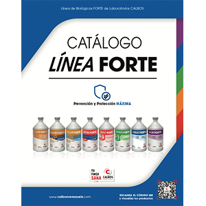 3-Foto-Categorias-Catalolo-Linea-FORTE-300x300